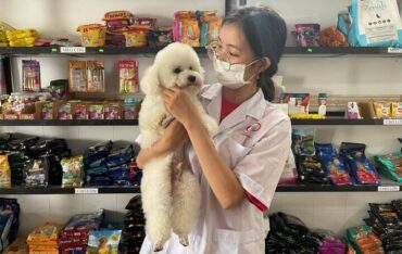 spa thú cưng tại bảo minh châu