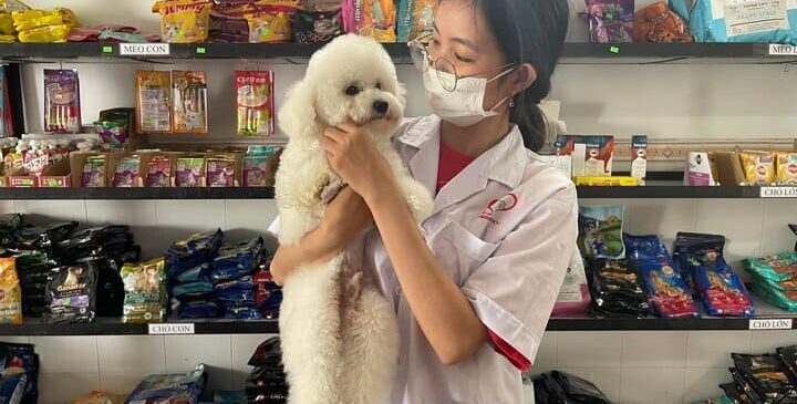 spa thú cưng tại bảo minh châu