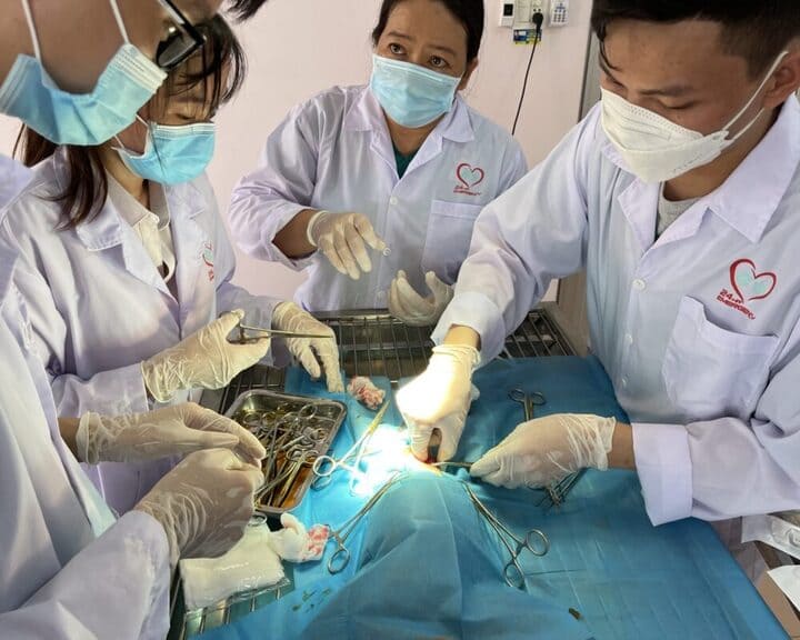 Phòng khám thú y Bảo Minh Châu